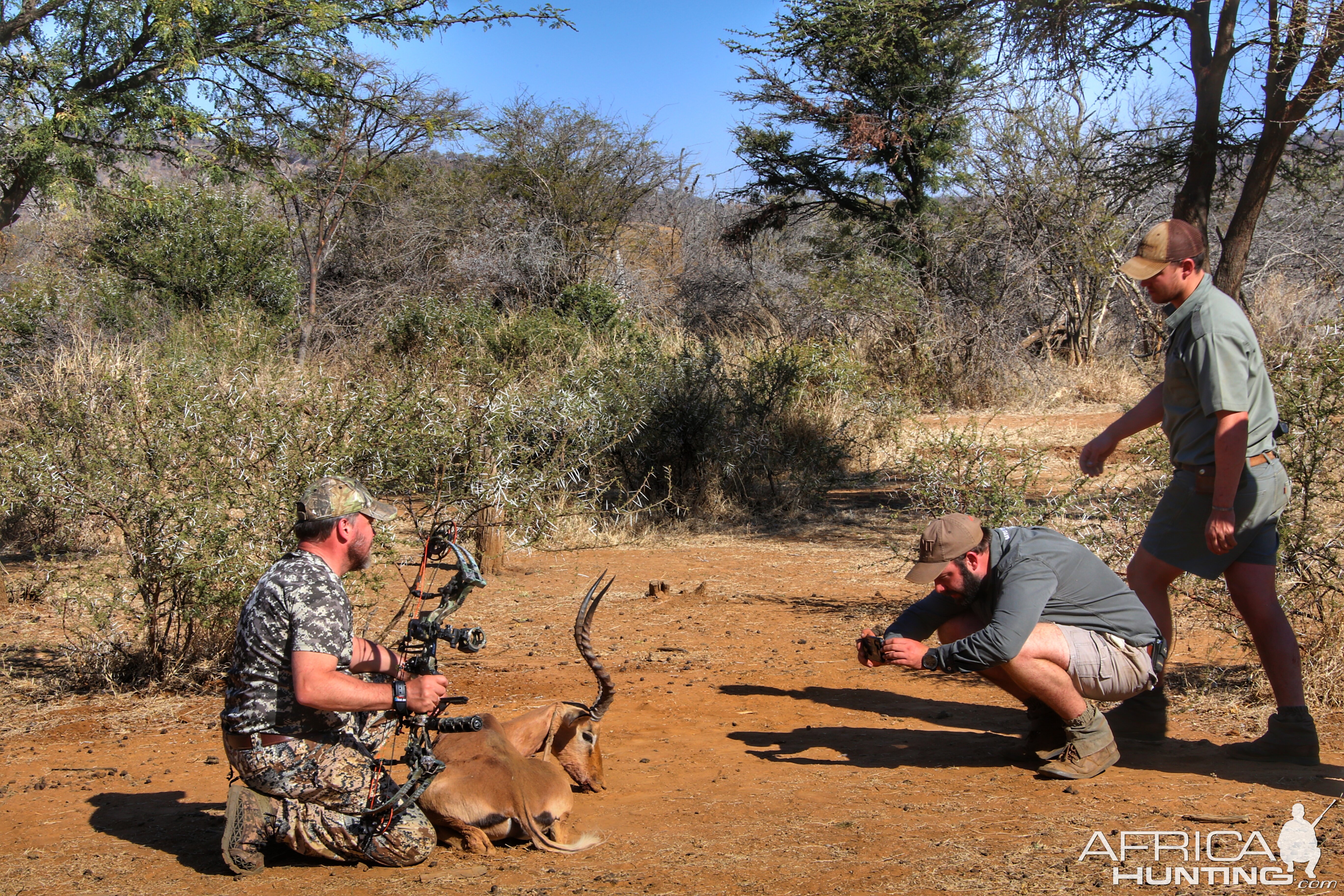 Bow Hunting Impala South Africa