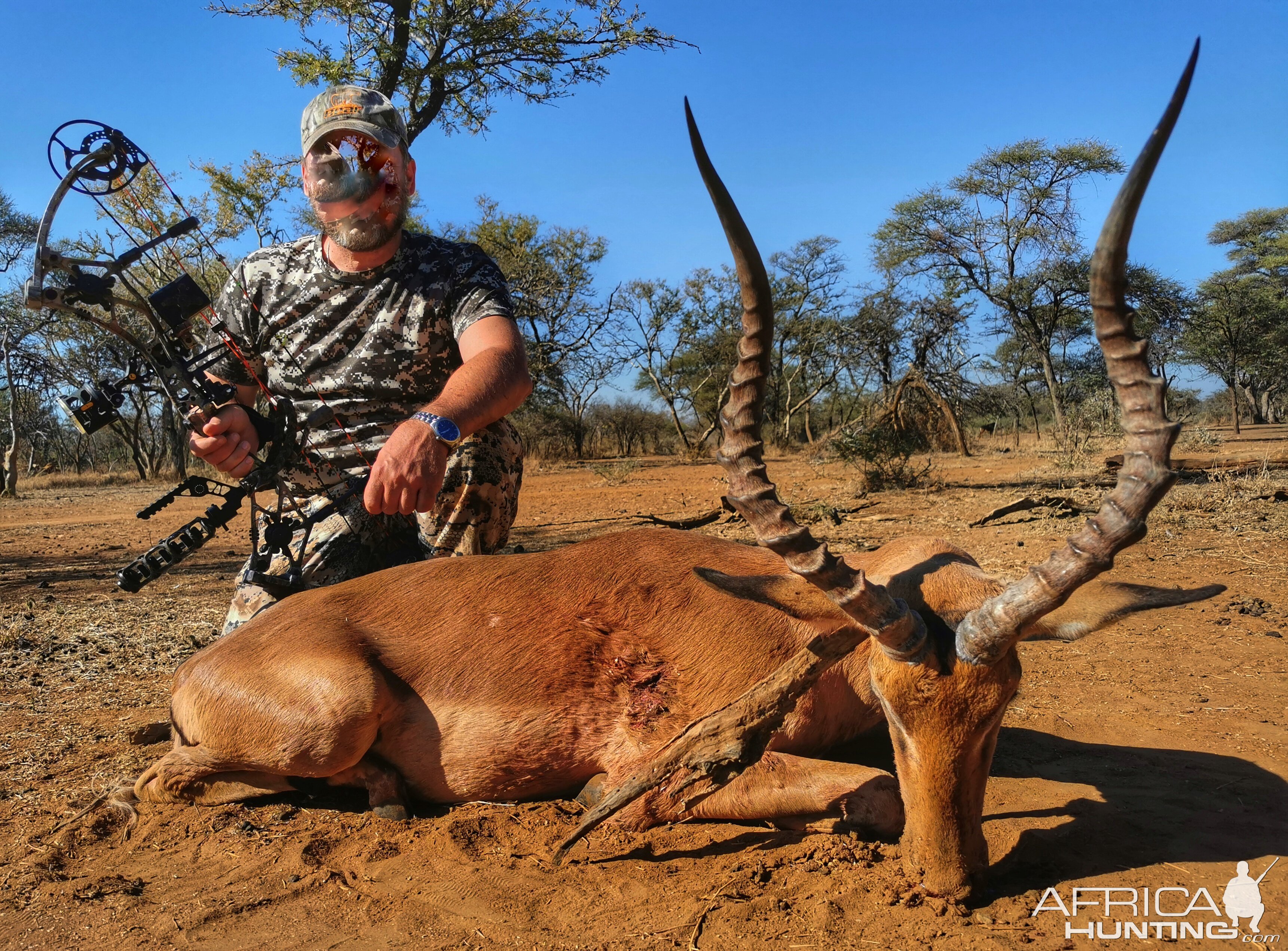 Bow Hunting Impala South Africa