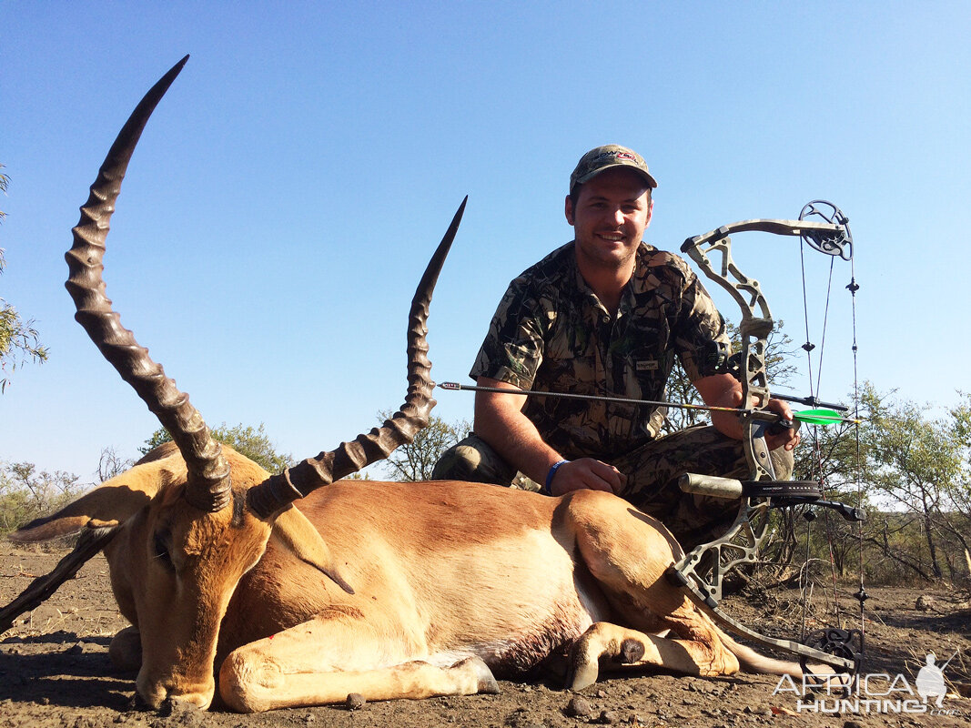 Bow Hunting Impala South Africa