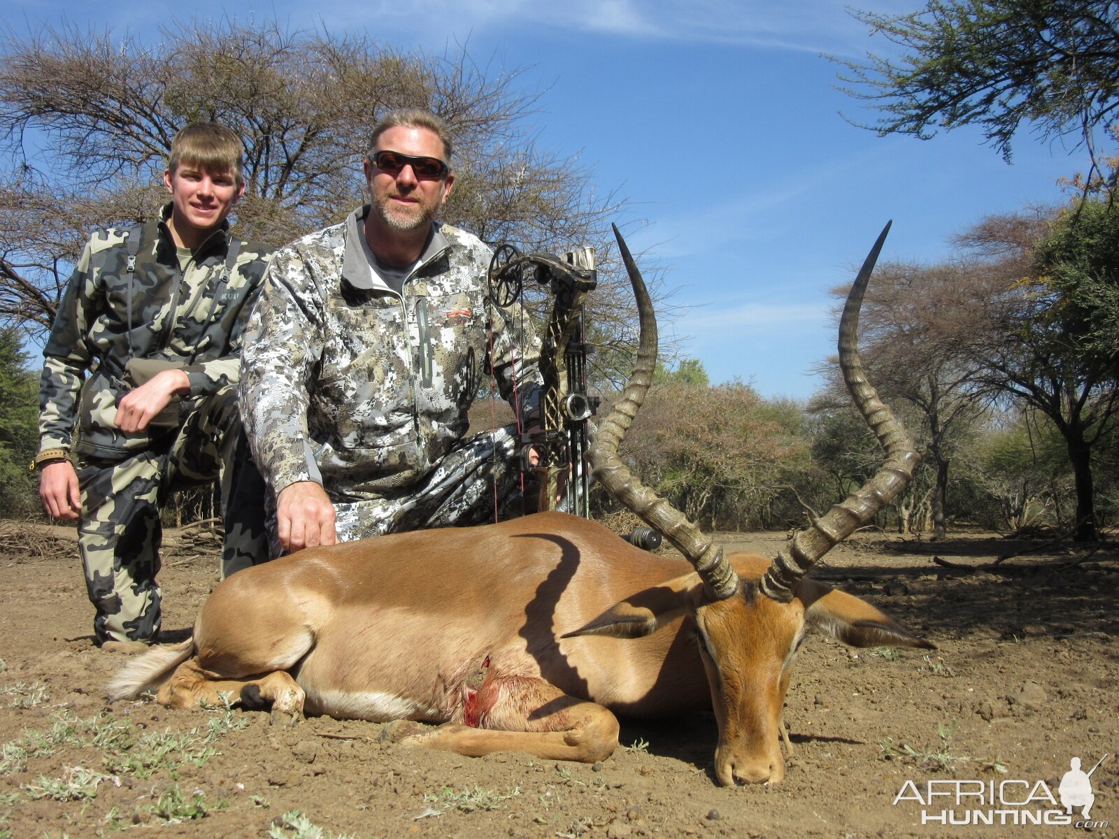 Bow Hunting Impala South Africa