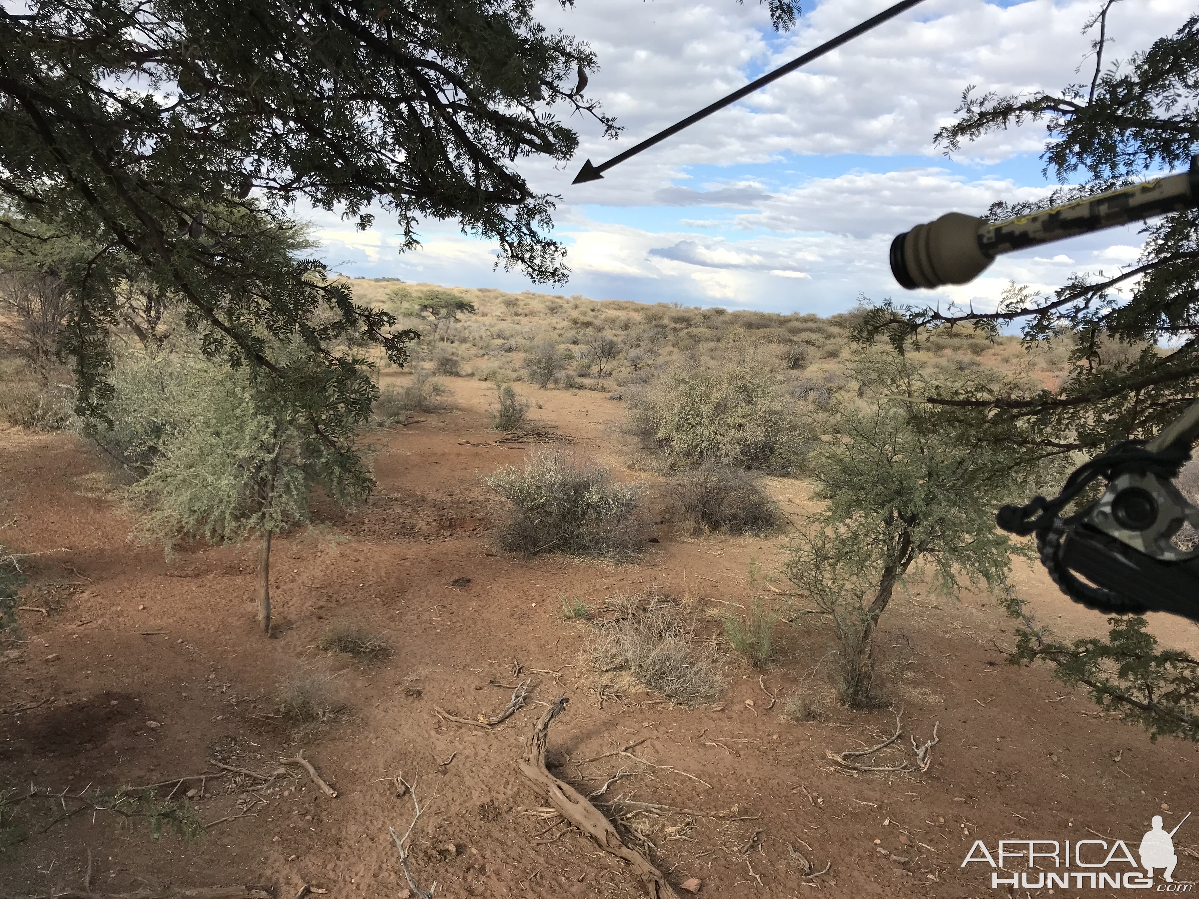 Bow Hunting in Namibia