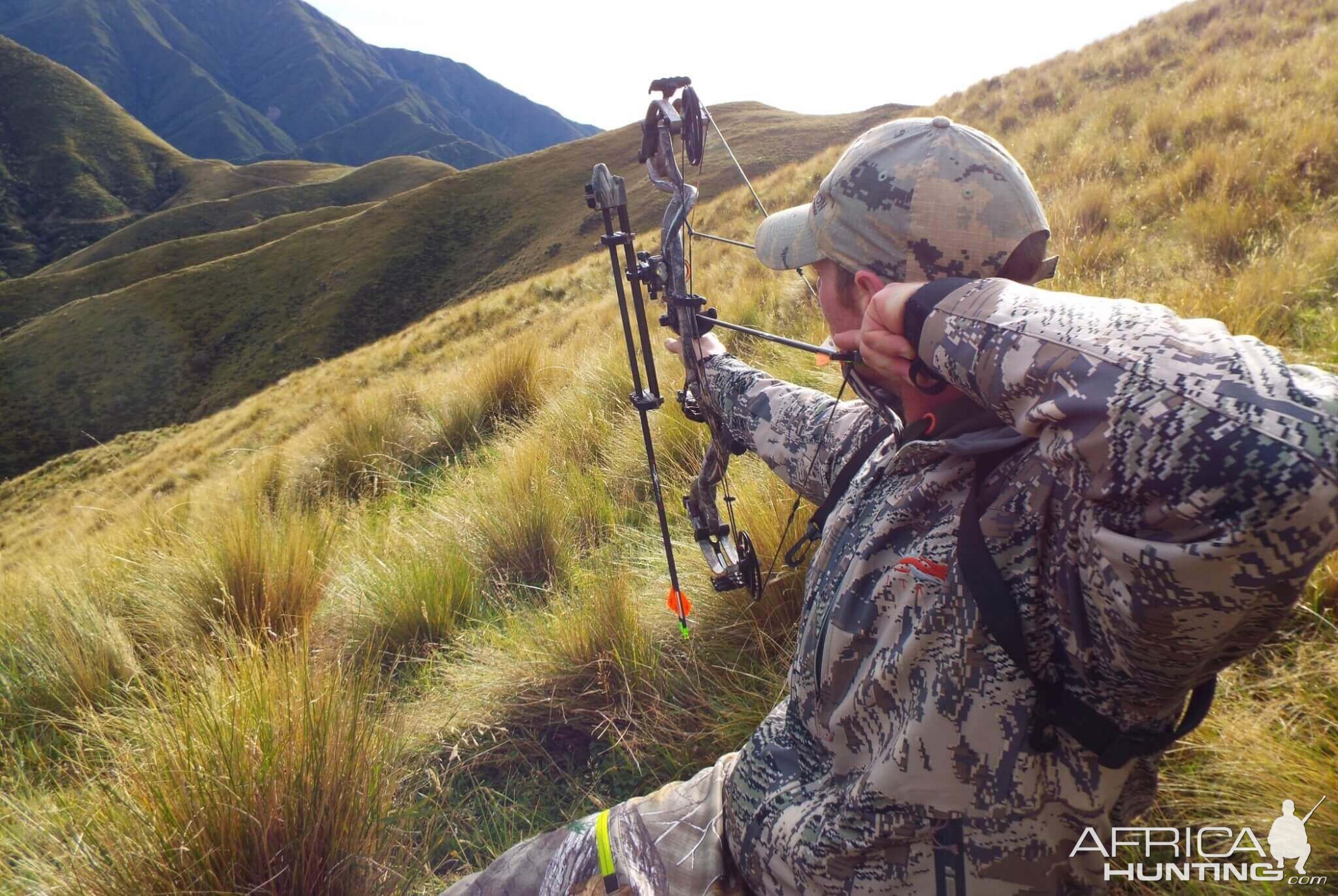 Bow Hunting in New Zealand