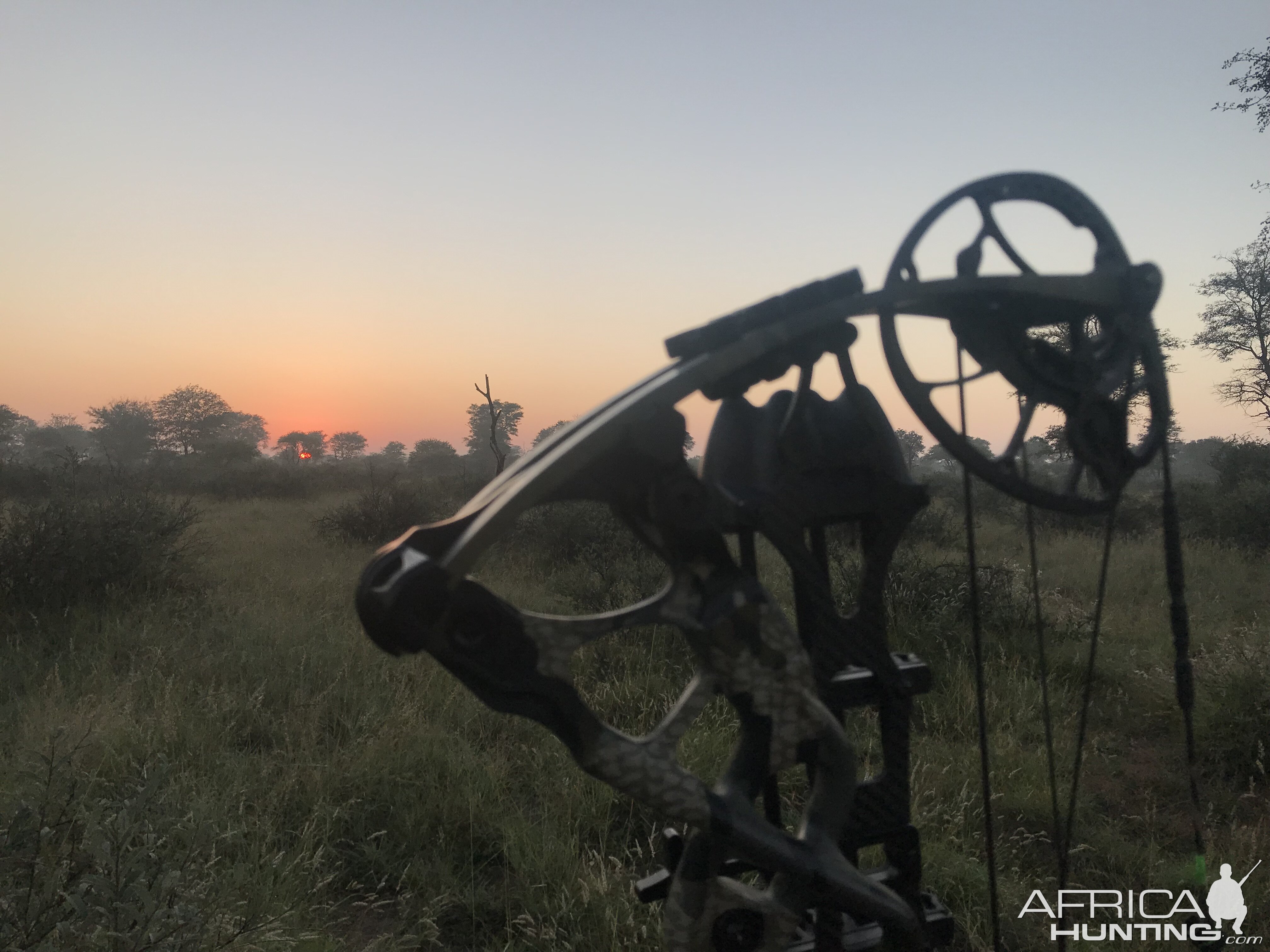 Bow Hunting in South Africa