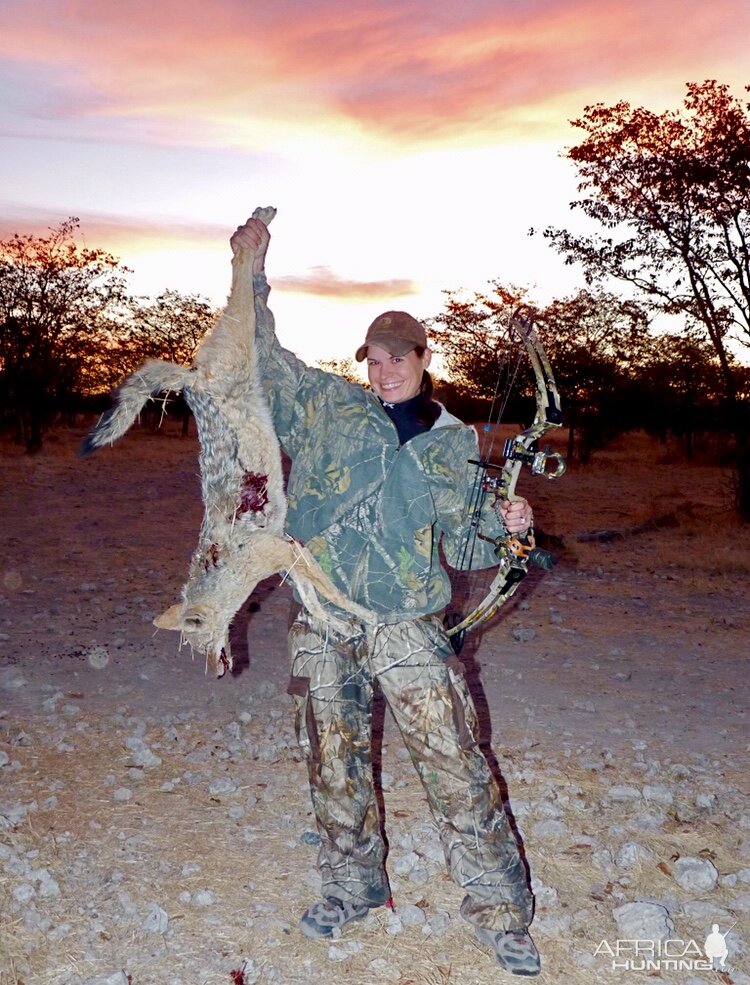 Bow Hunting Jackal in Namibia