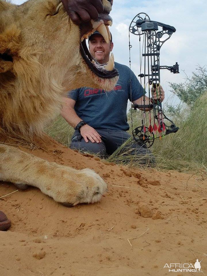 Bow Hunting Lion South Africa