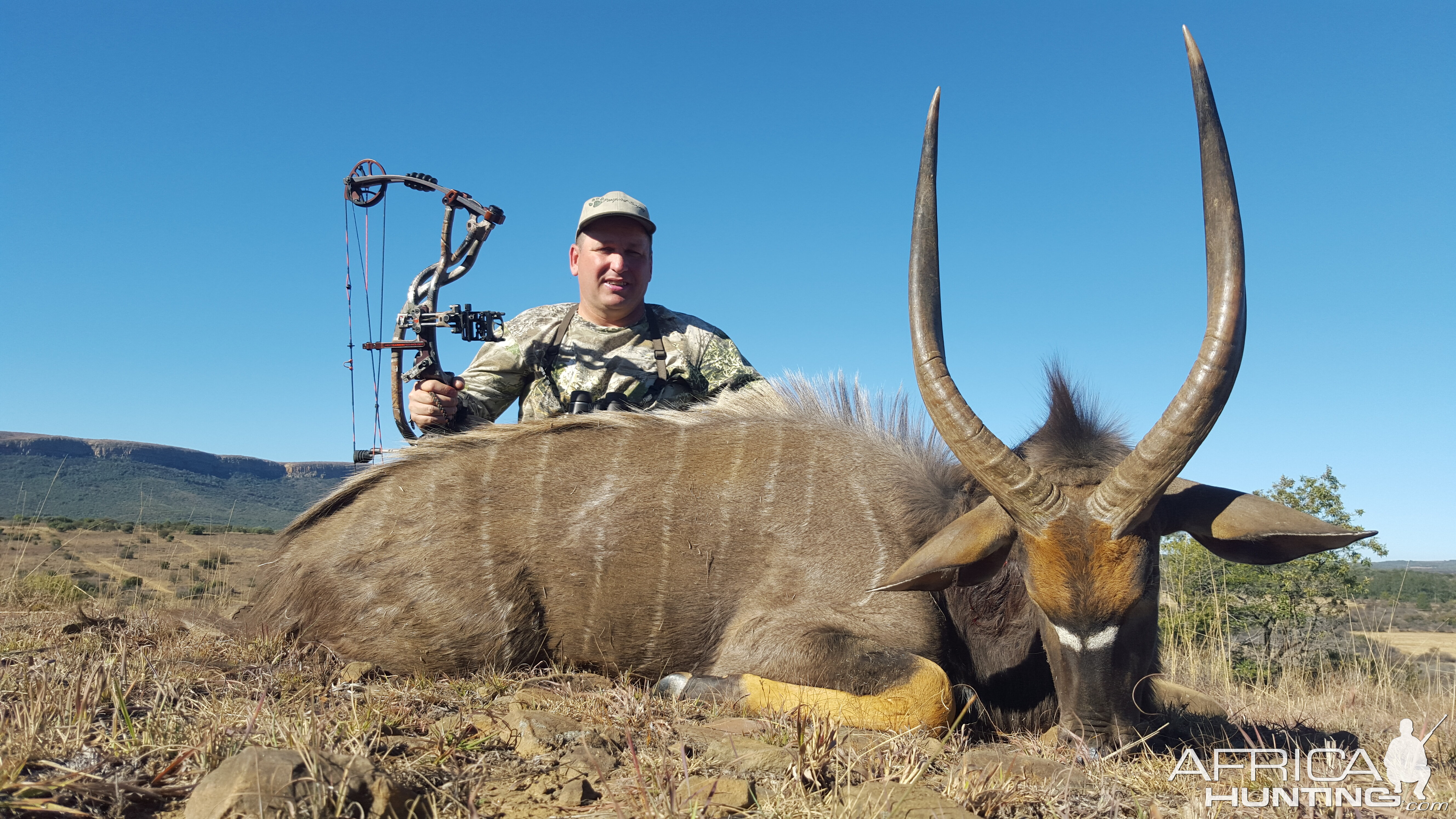 Bow Hunting Nyala South Africa