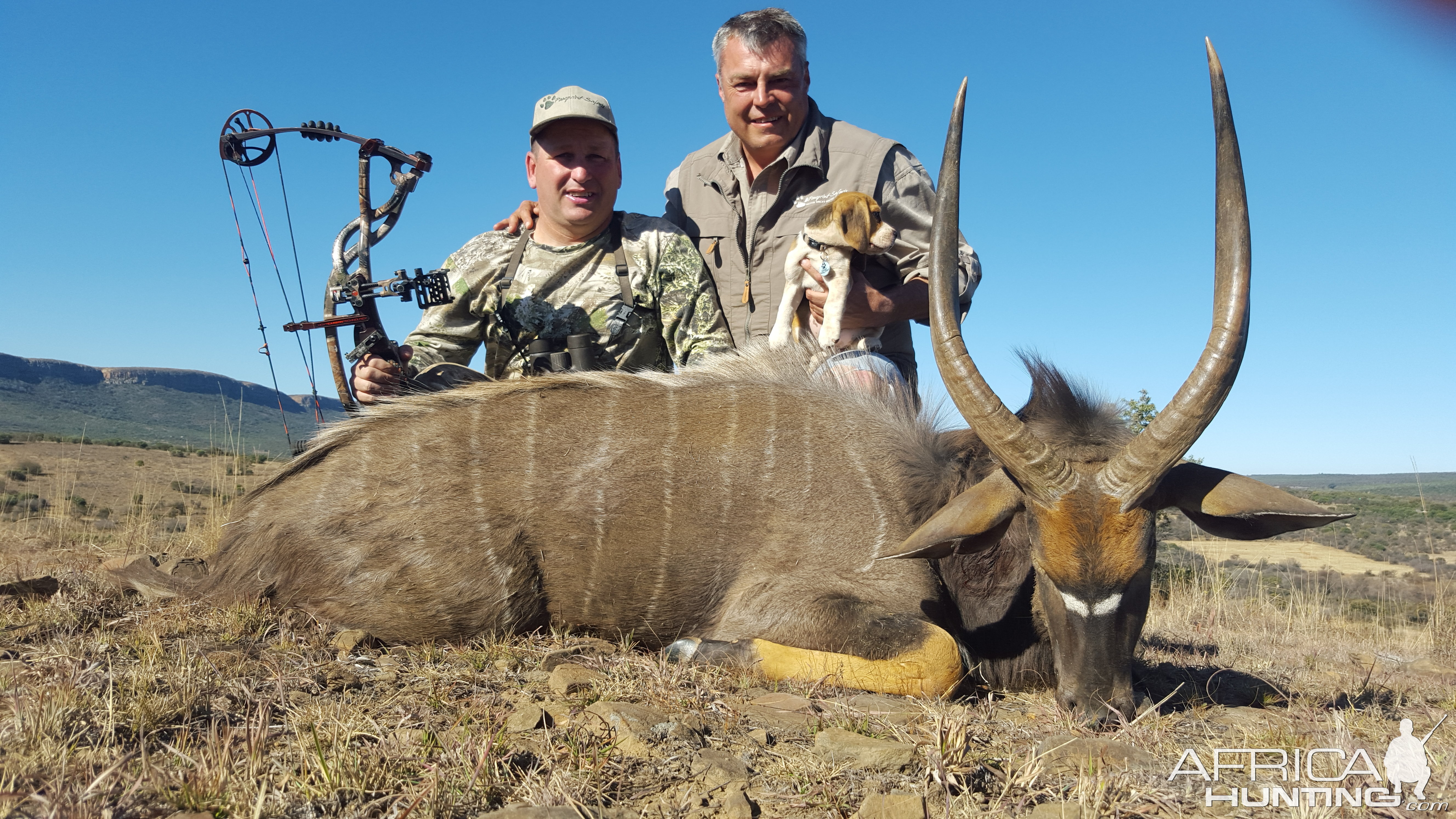 Bow Hunting Nyala South Africa