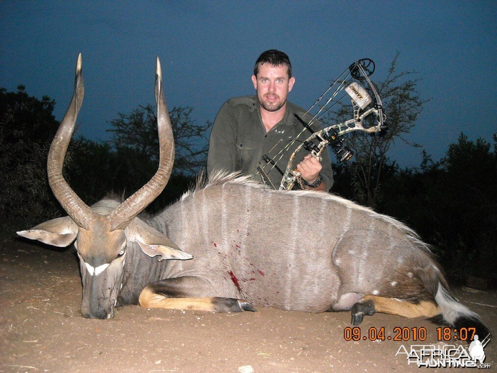 Bow Hunting Nyala