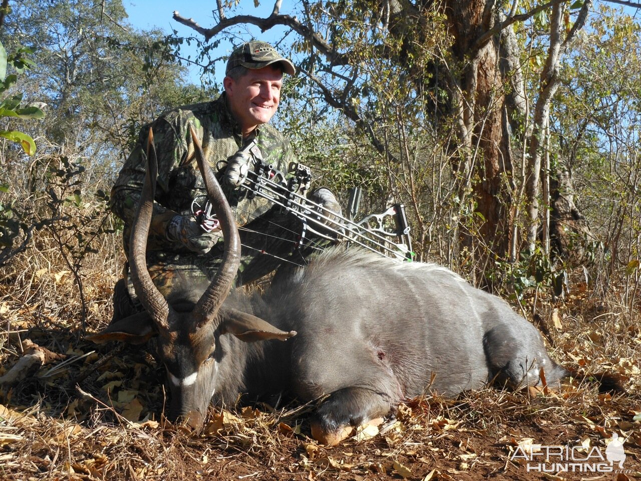 Bow Hunting Nyala