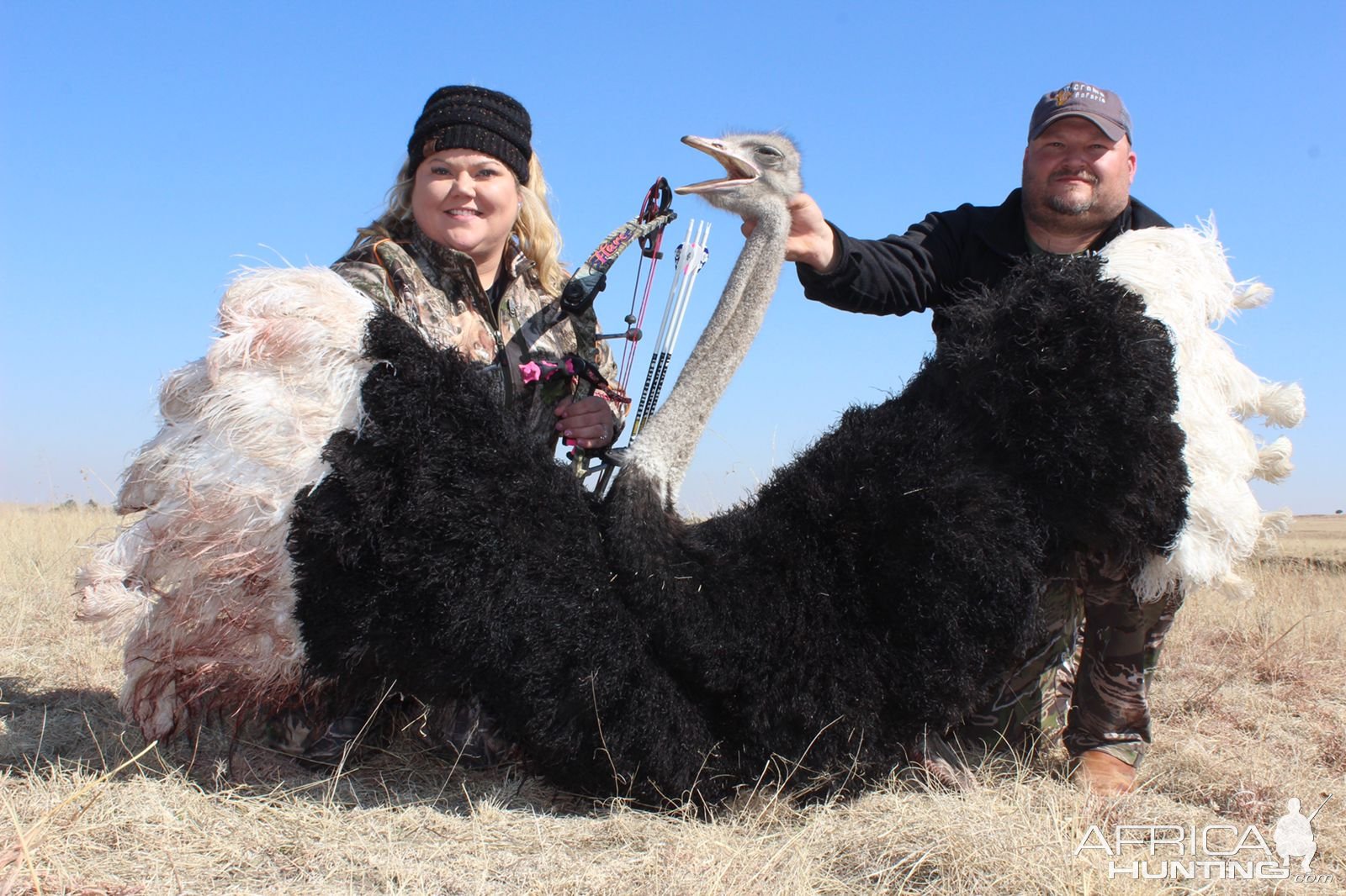 Bow Hunting Ostrich South Africa