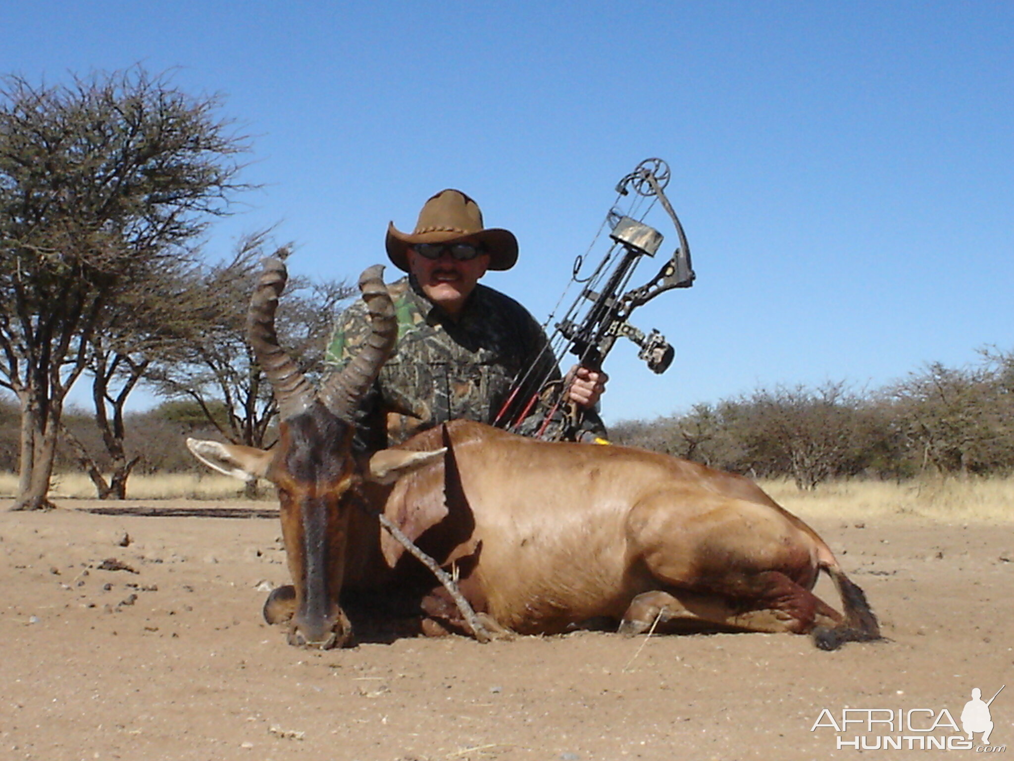 Bow Hunting Red Hartebeest in Namibia