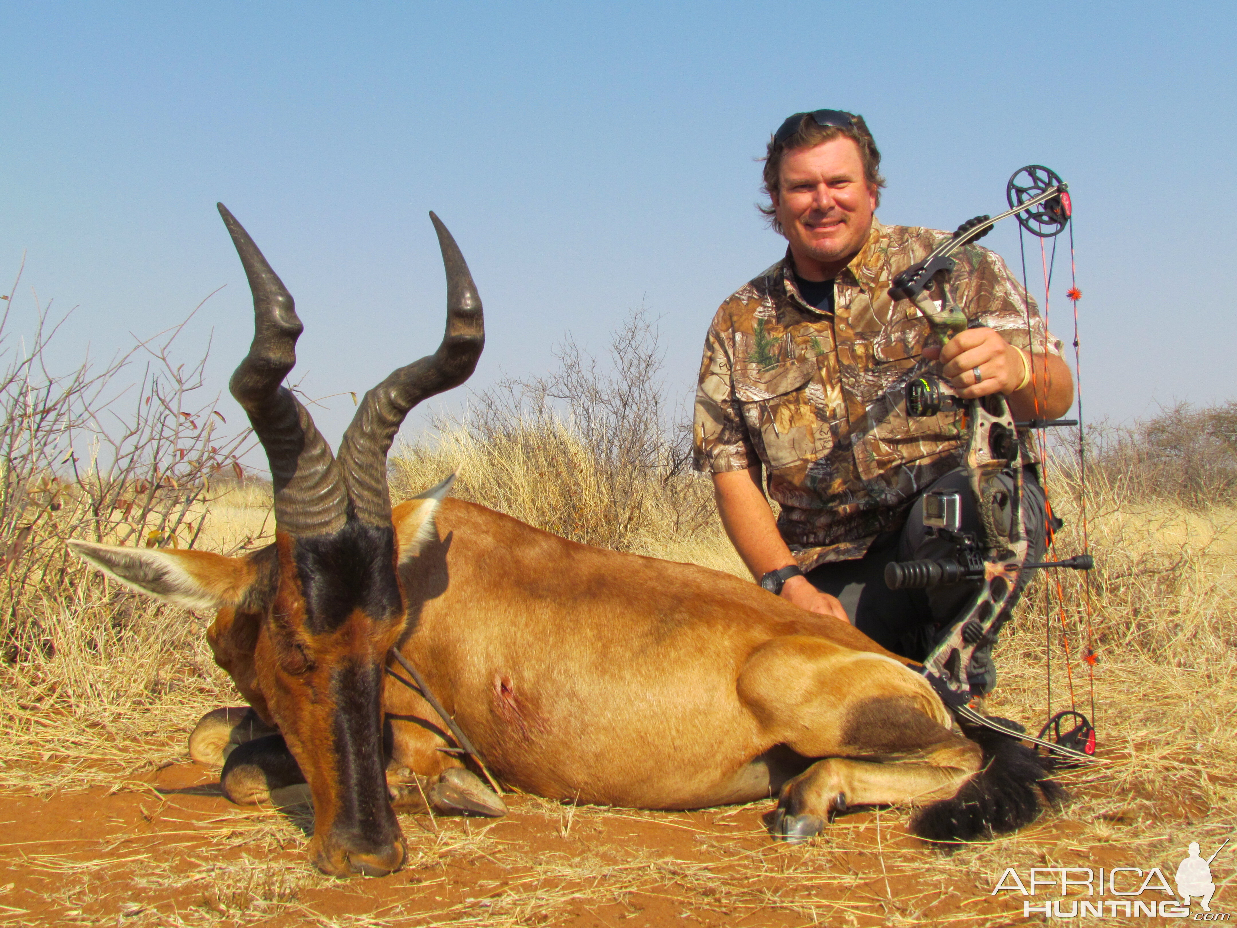 Bow Hunting Red Hartebeest in South Africa