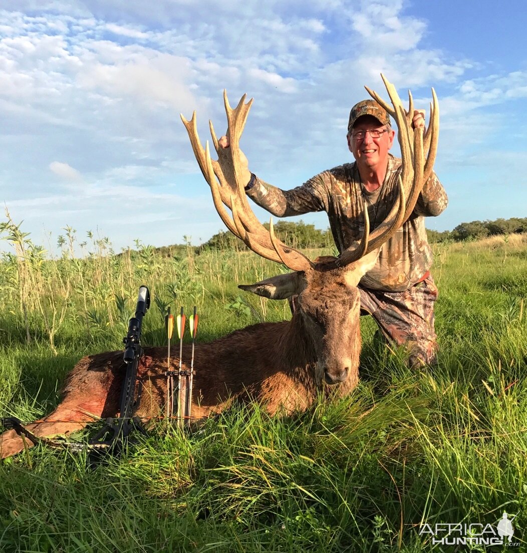 Bow Hunting Red Stag in Argentina