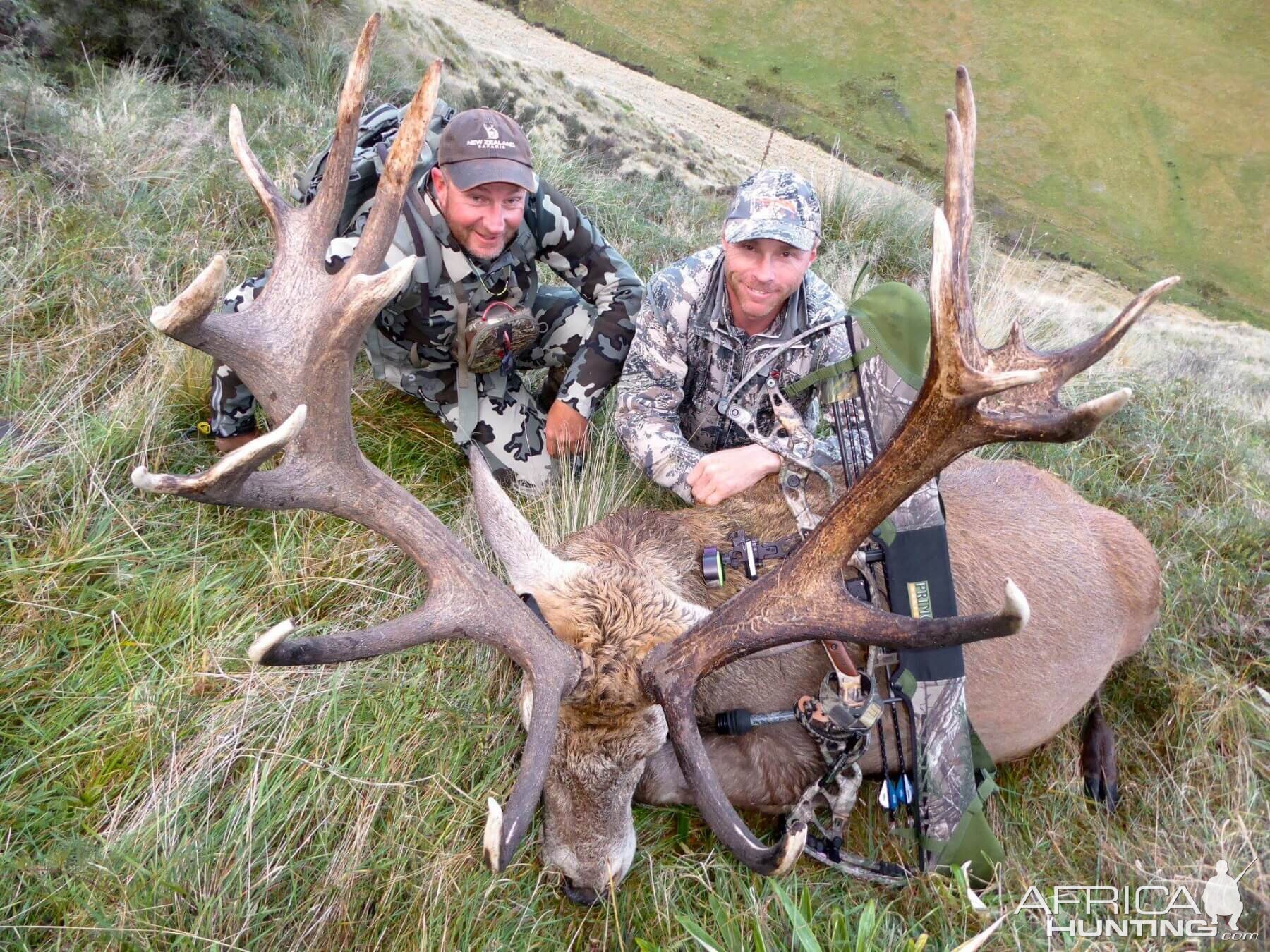 Bow Hunting Red Stag in New Zealand