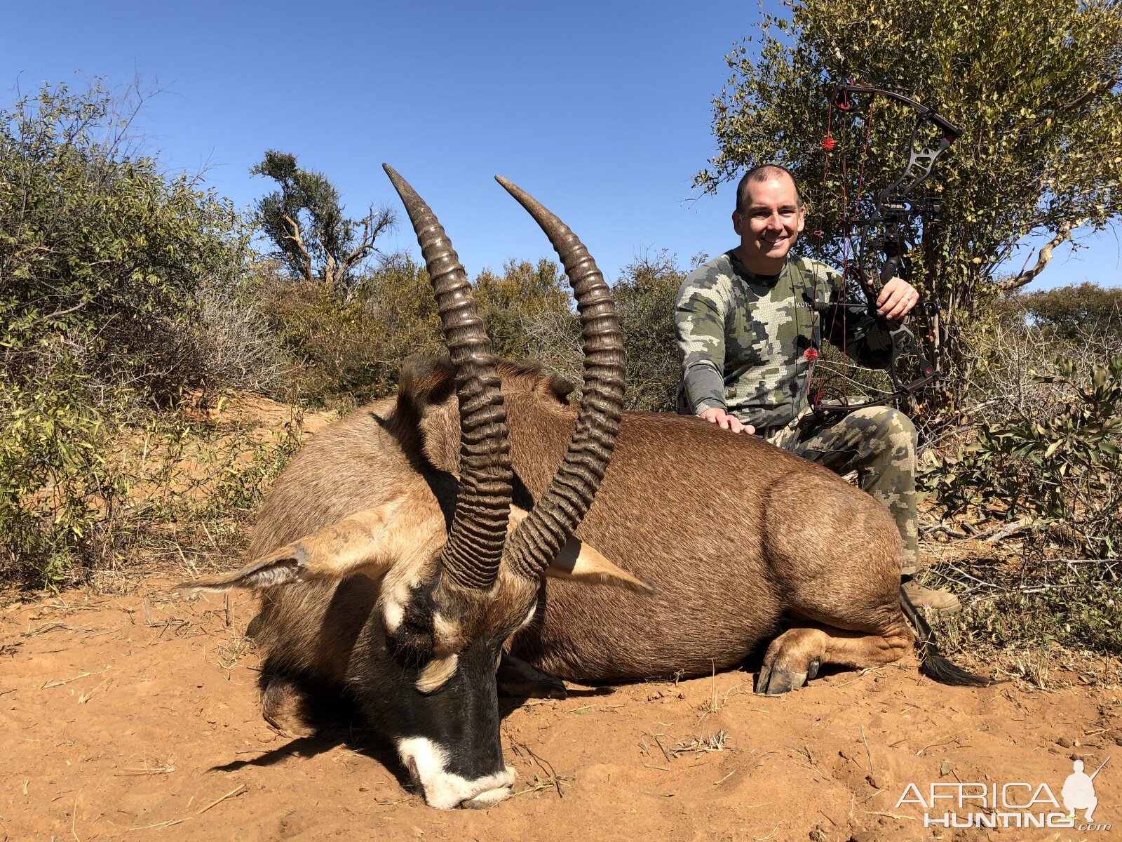 Bow Hunting Roan in South Africa