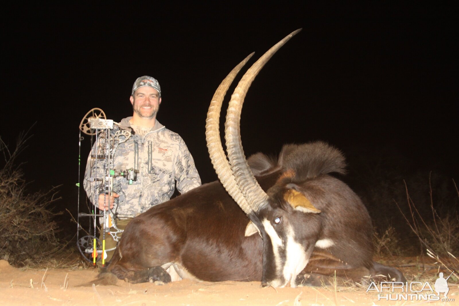 Bow Hunting Sable Antelope in South Africa