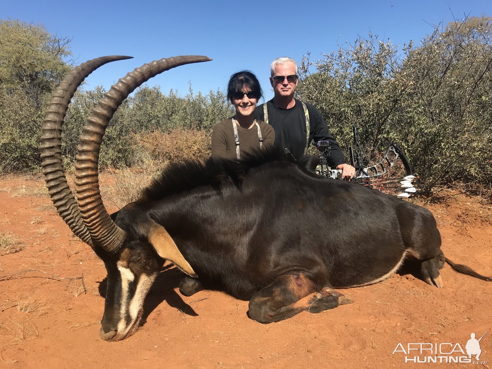 Bow Hunting Sable Antelope in South Africa