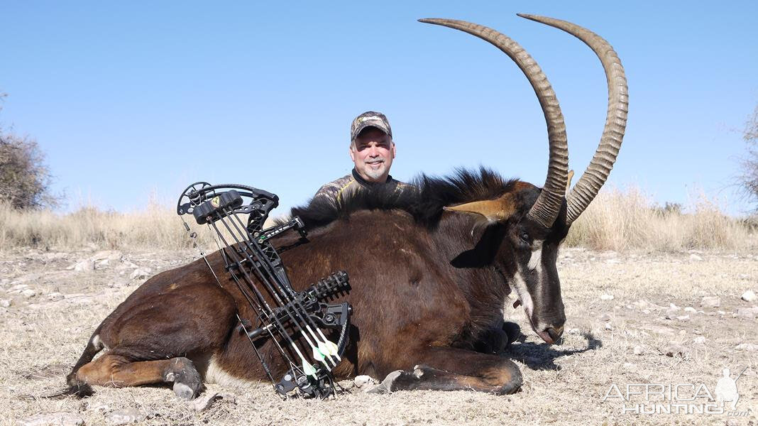 Bow Hunting Sable Antelope South Africa