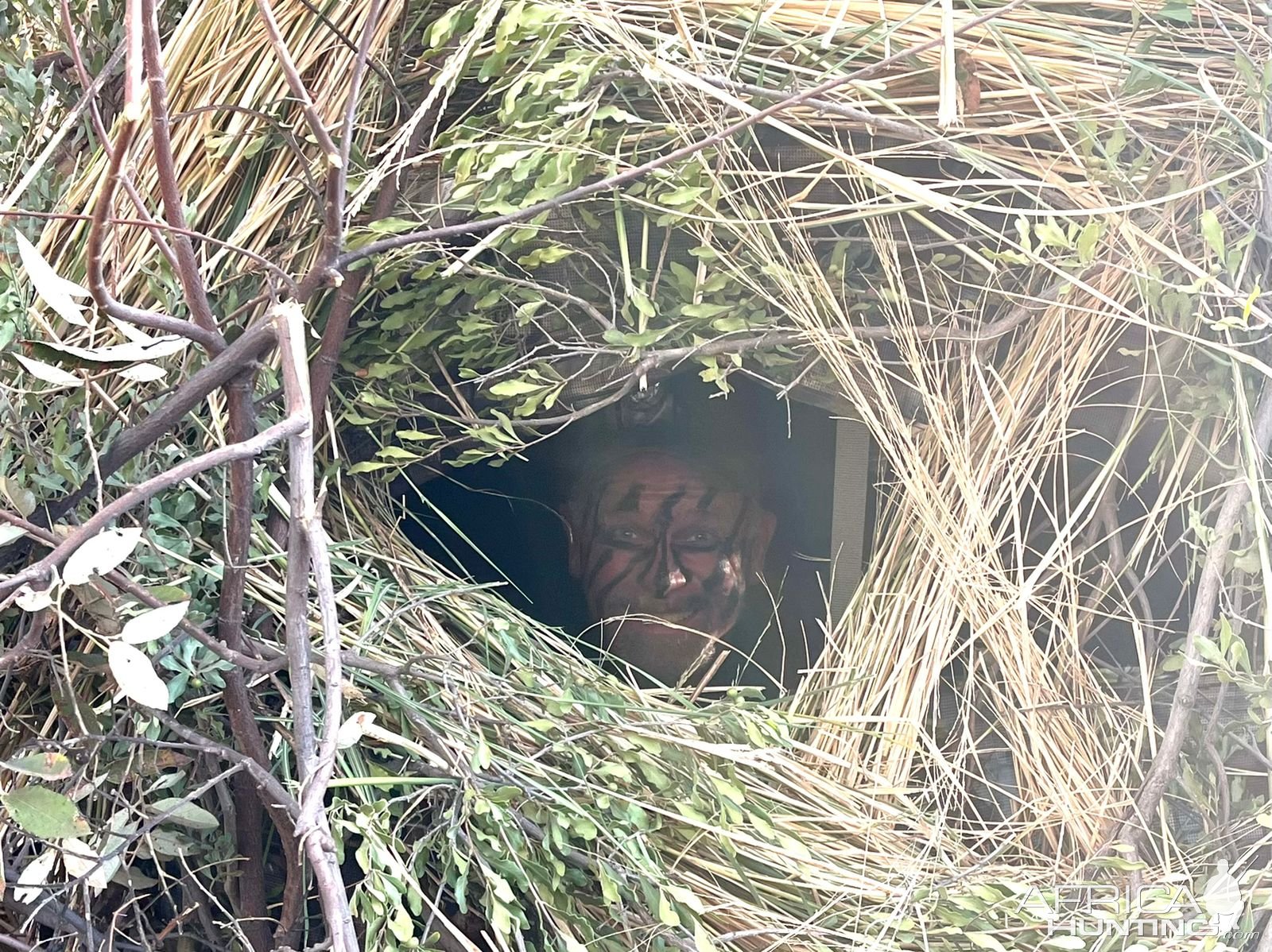 Bow Hunting Shelter