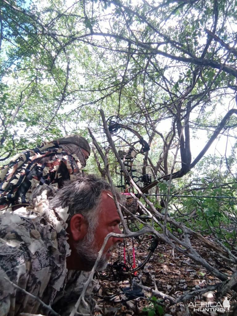 Bow Hunting South Africa