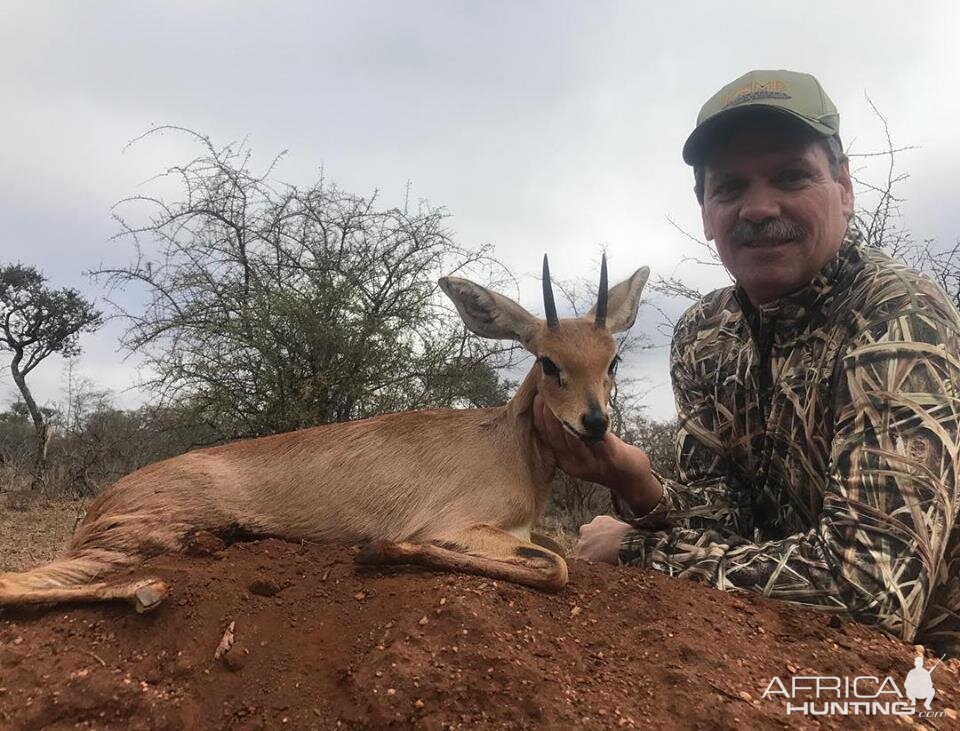 Bow Hunting Steenbok in South Africa