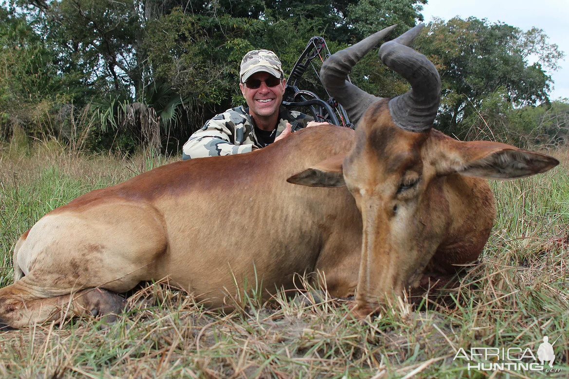 Bow Hunting Tsessebe South Africa