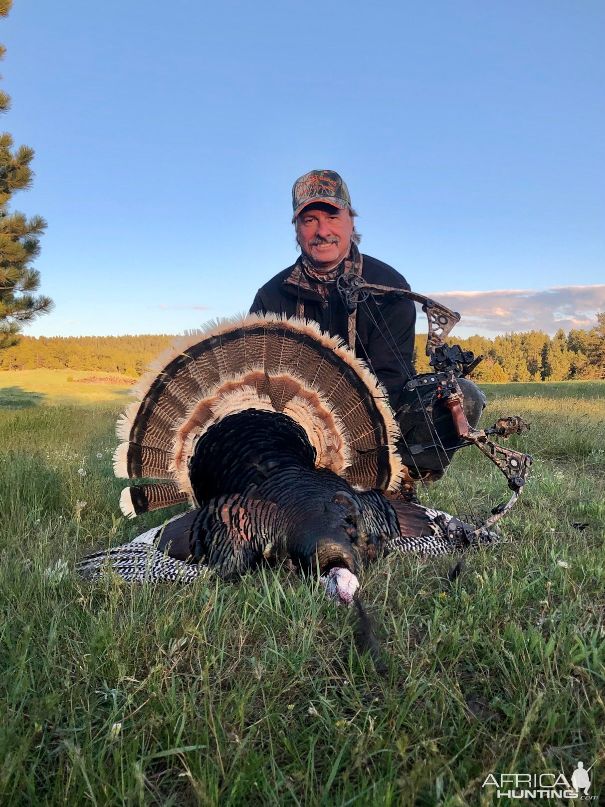 Bow Hunting Turkey Wyoming