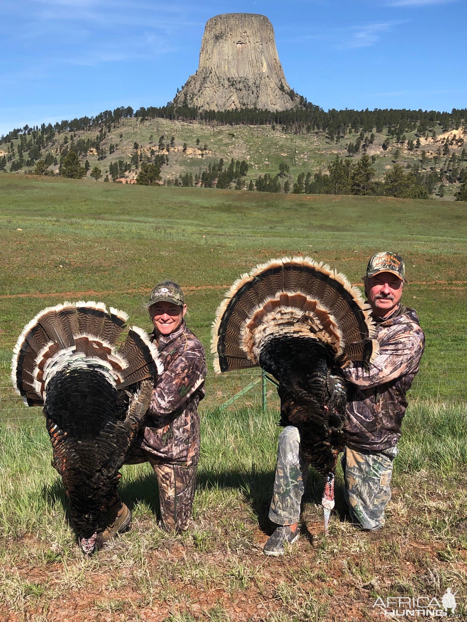 Bow Hunting Turkey Wyoming