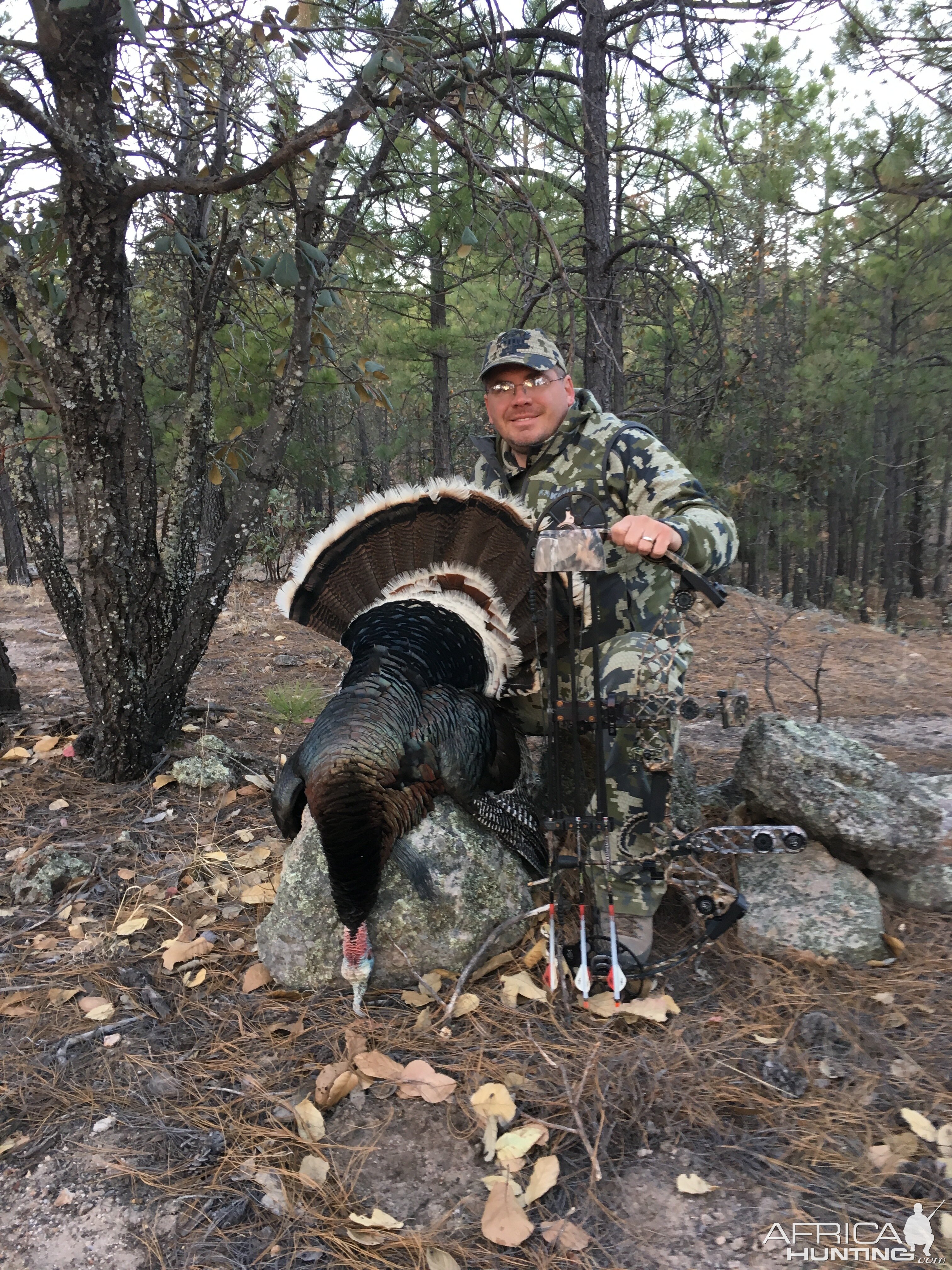 Bow Hunting Turkey