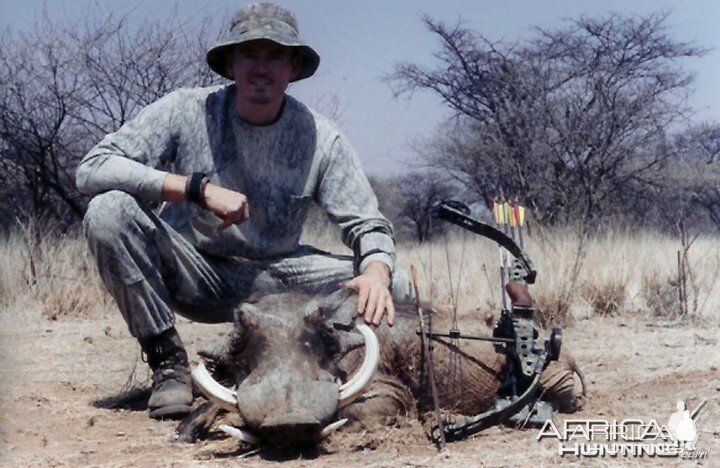 Bow Hunting Warthog in Namibia