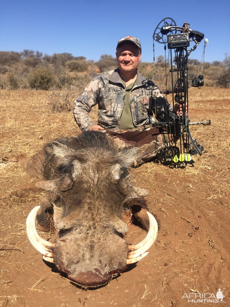 Bow Hunting Warthog in Namibia