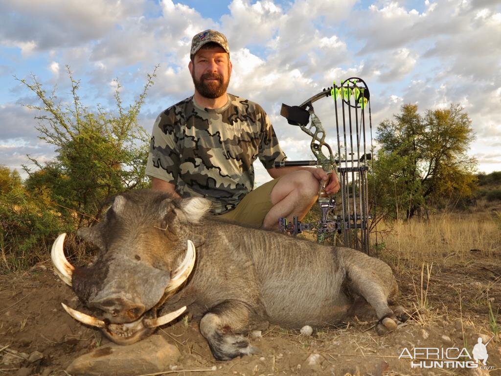 Bow Hunting Warthog in Namibia