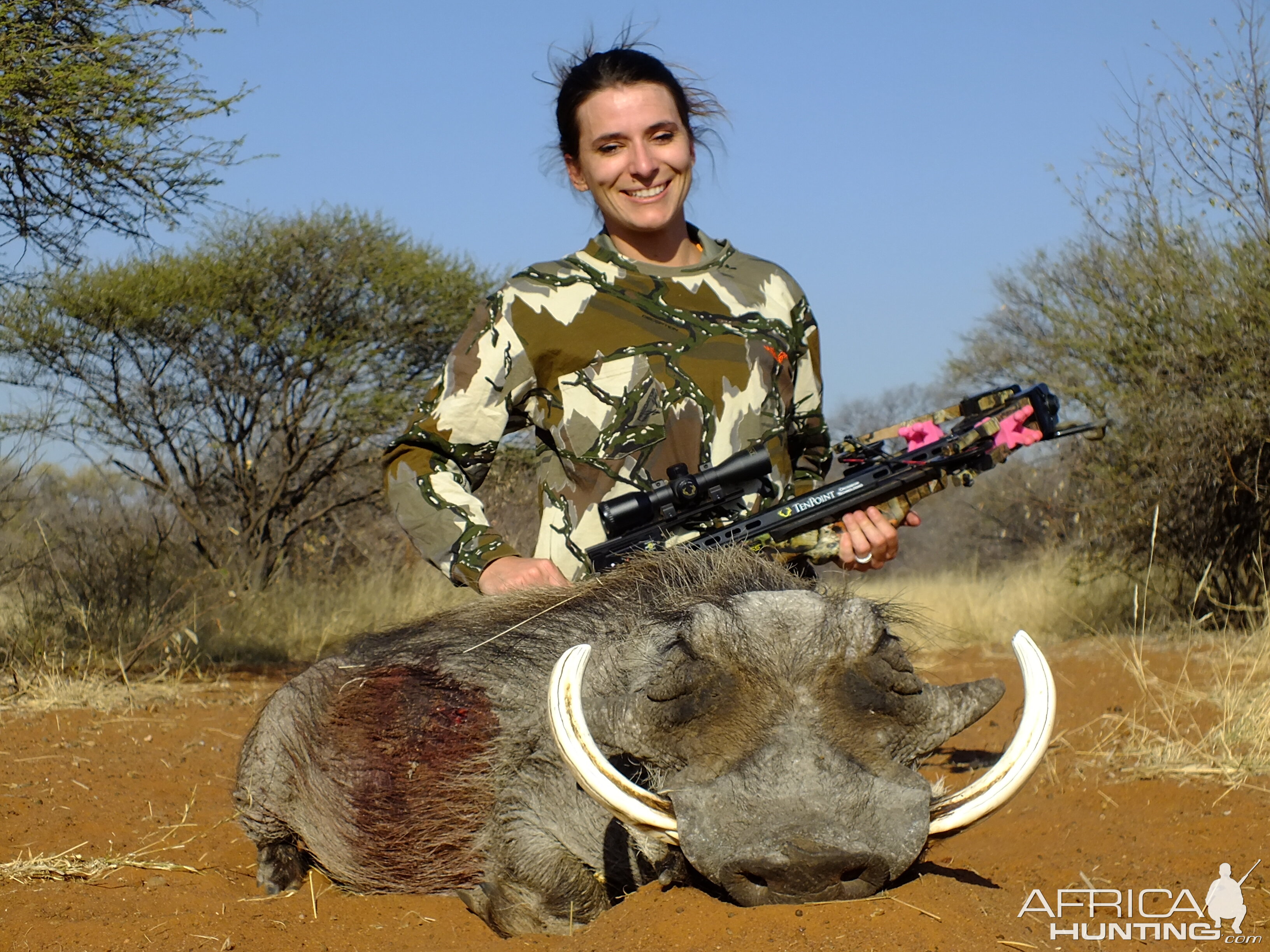 Bow Hunting Warthog in South Africa