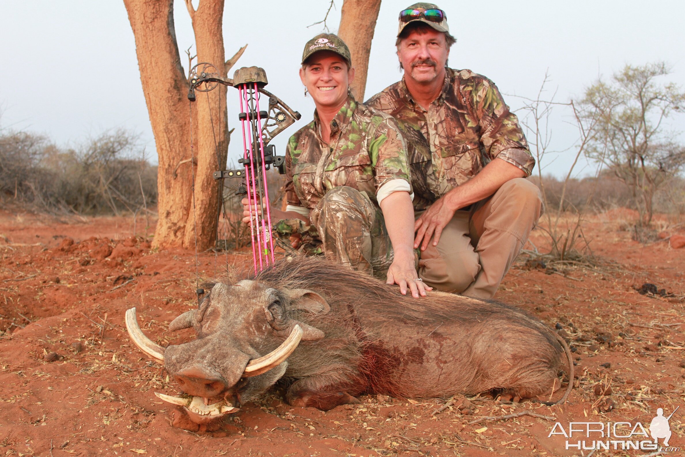 Bow Hunting Warthog in South Africa