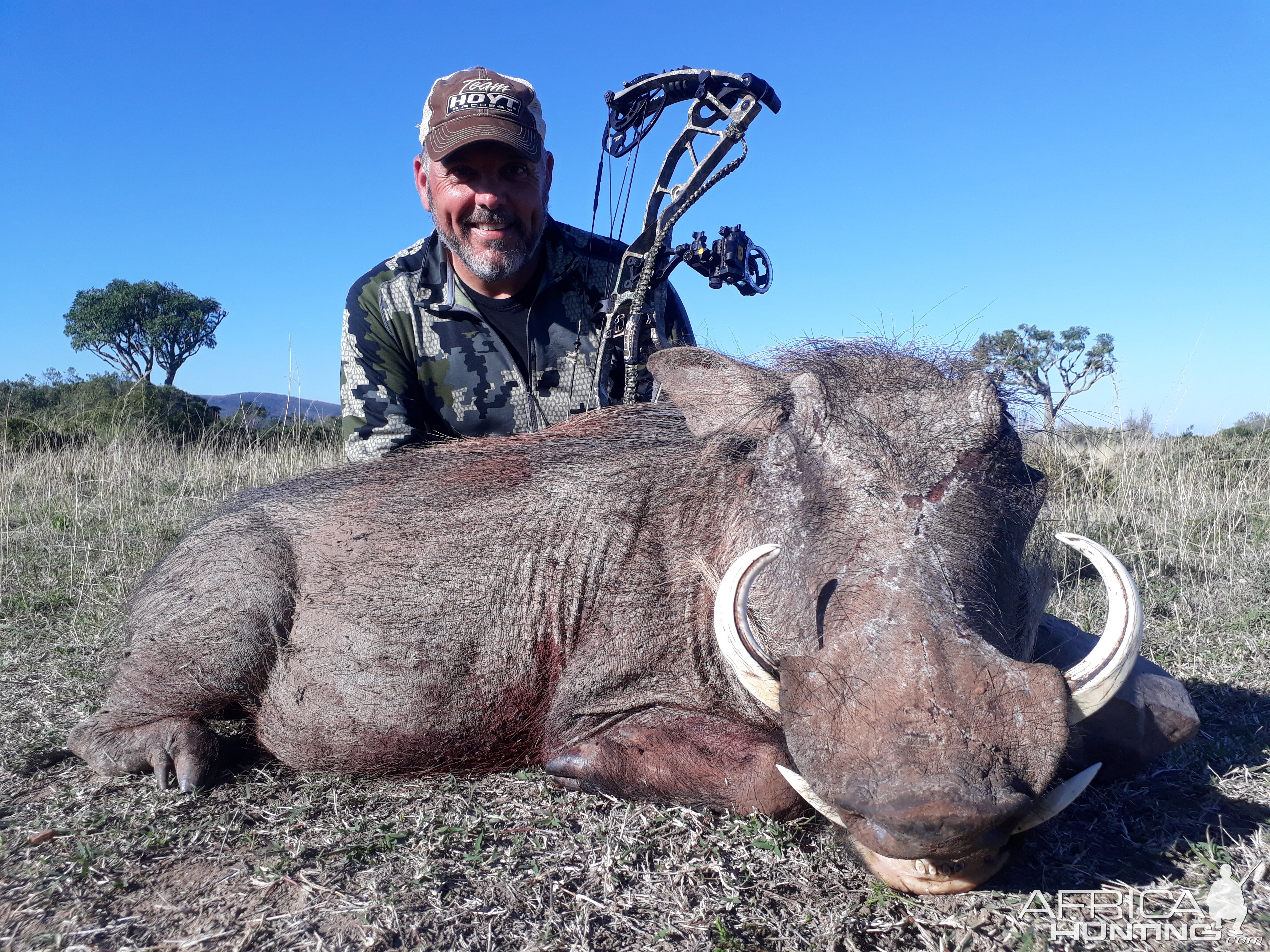 Bow Hunting Warthog in South Africa