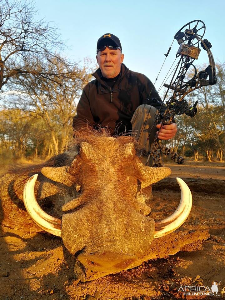 Bow Hunting Warthog in South Africa