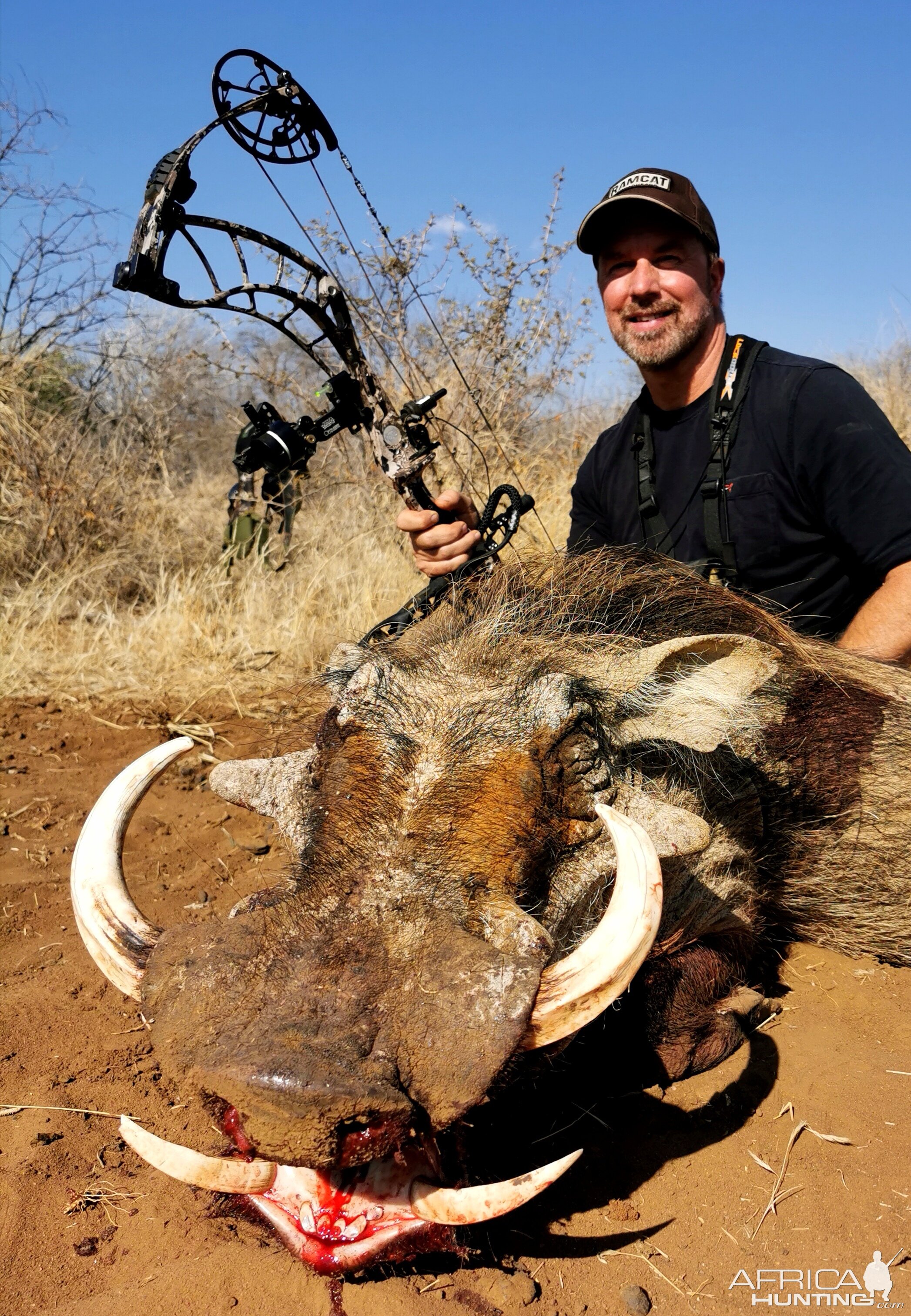 Bow Hunting Warthog in South Africa