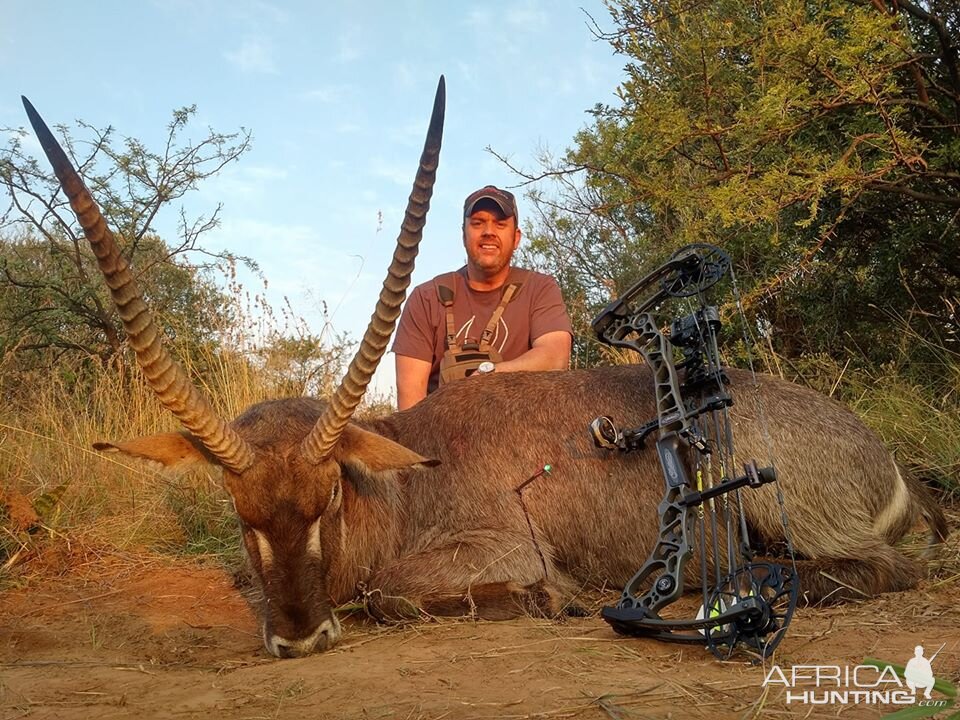 Bow Hunting Waterbuck in South Africa