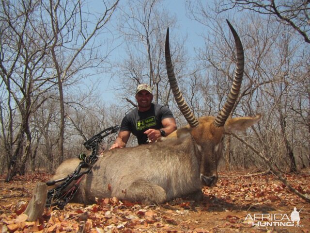 Bow Hunting Waterbuck