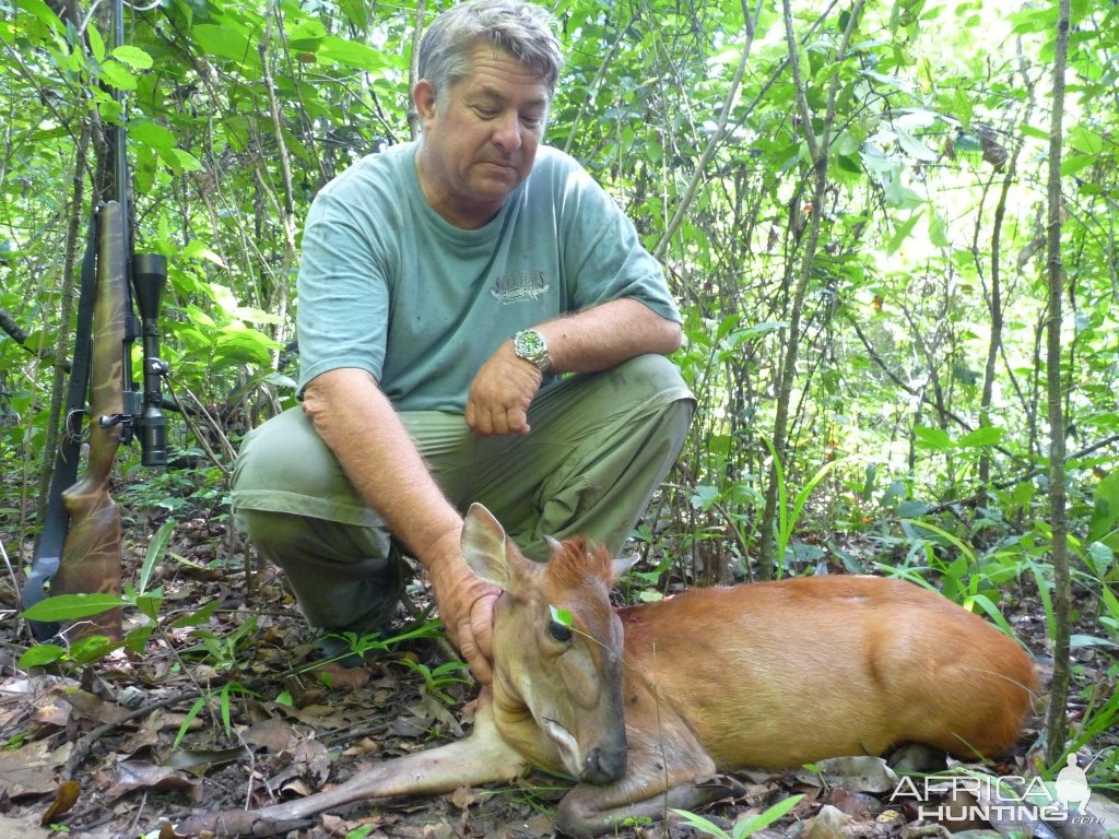 Bow Hunting Weyn's Duiker Central African Republic C.A.R.