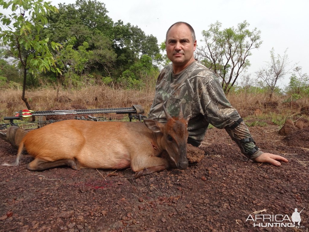 Bow Hunting Weyn's Duiker Central African Republic C.A.R.