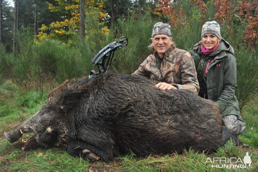 Bow Hunting Wild Boar France