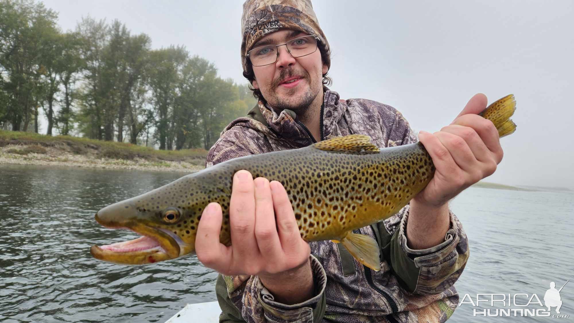 Bow River brown trout