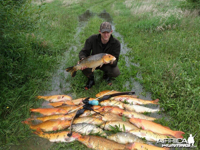 Bowfishing Carp in New Zealand