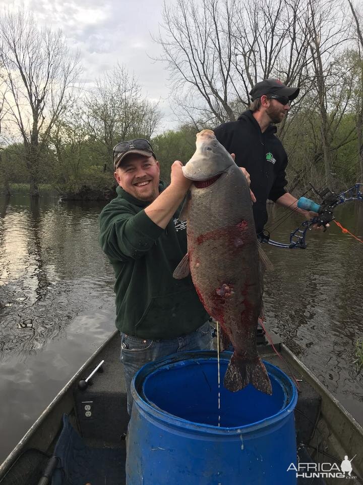 Bowfishing Carp in USA