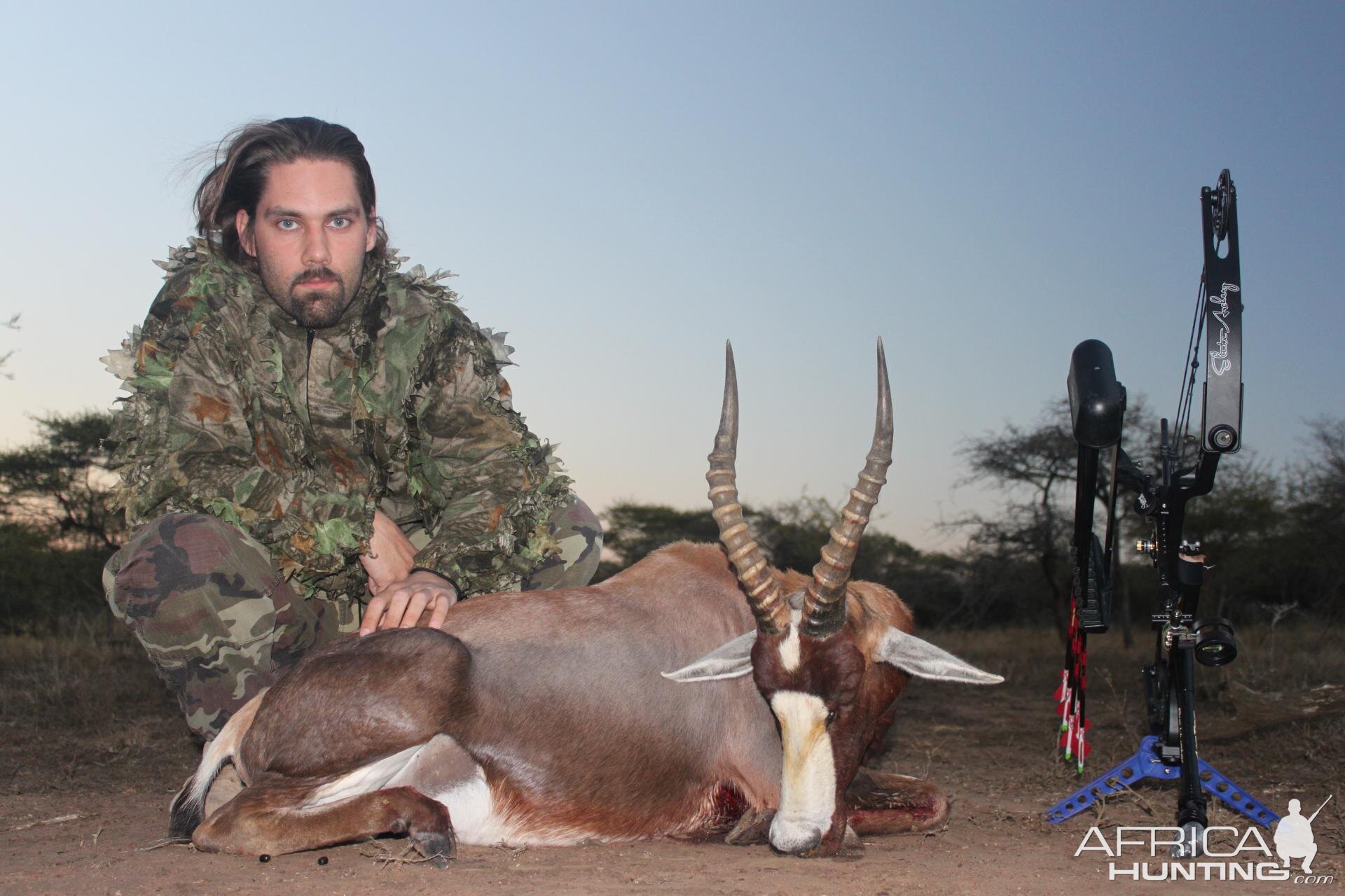 Bowhunting Blesbok South Africa