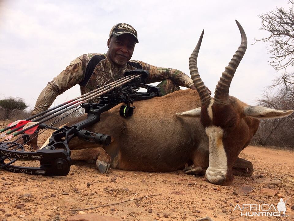 Bowhunting  Blesbuck in Limpopo