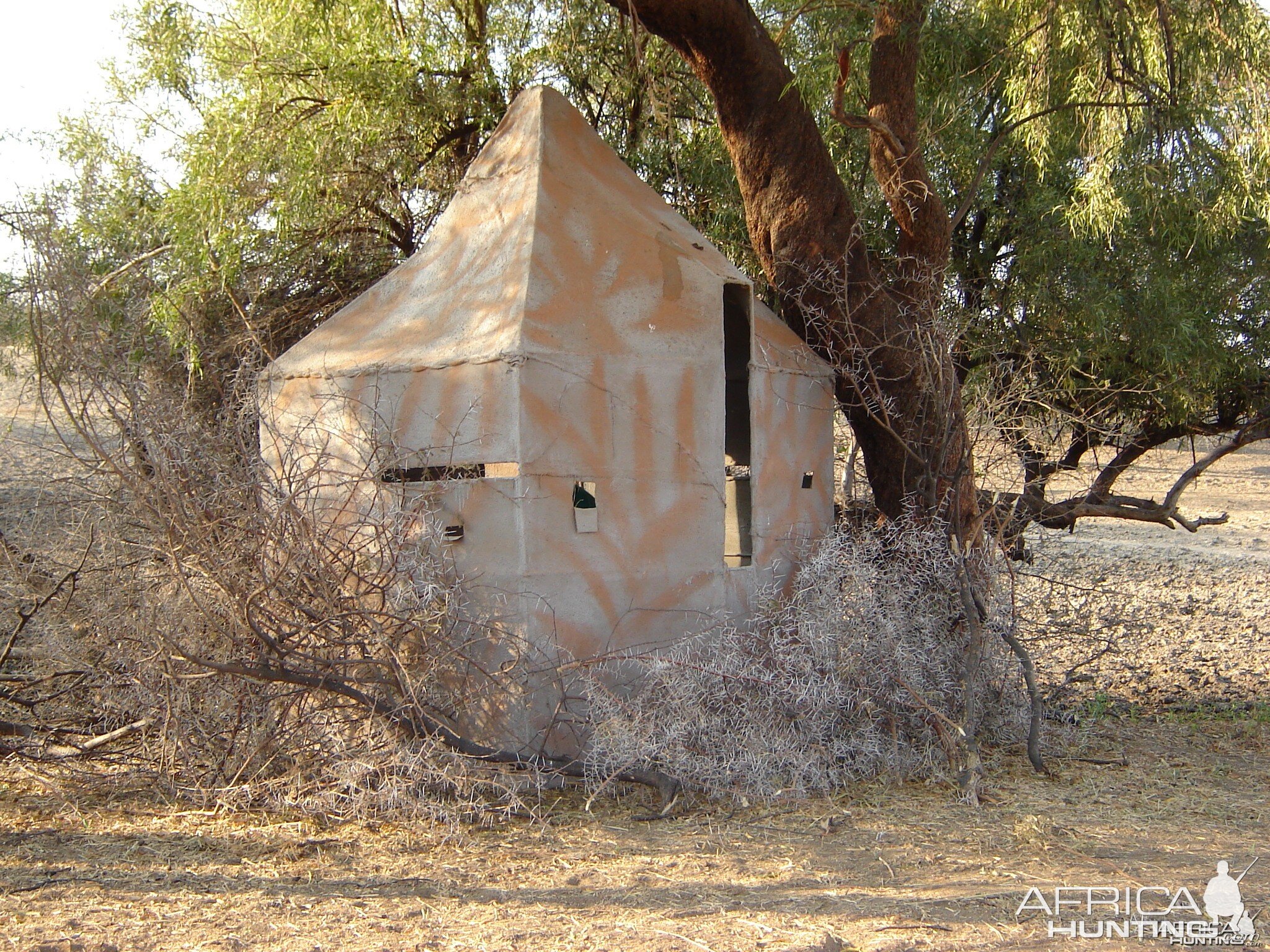 Bowhunting Blind Namibia