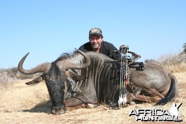 Bowhunting Blue Wildebeest in Namibia