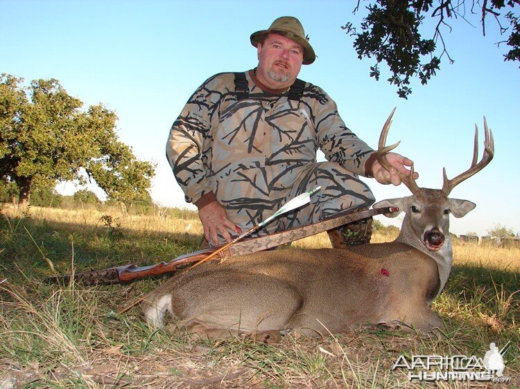 Bowhunting Buck